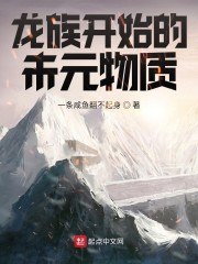 龙族开始的未元物质 封面
