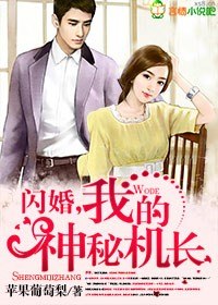 闪婚，我的神秘机长 封面