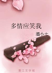 多情应笑我 封面