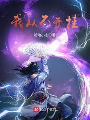 我从不开挂 封面