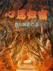 心愿归宿 封面